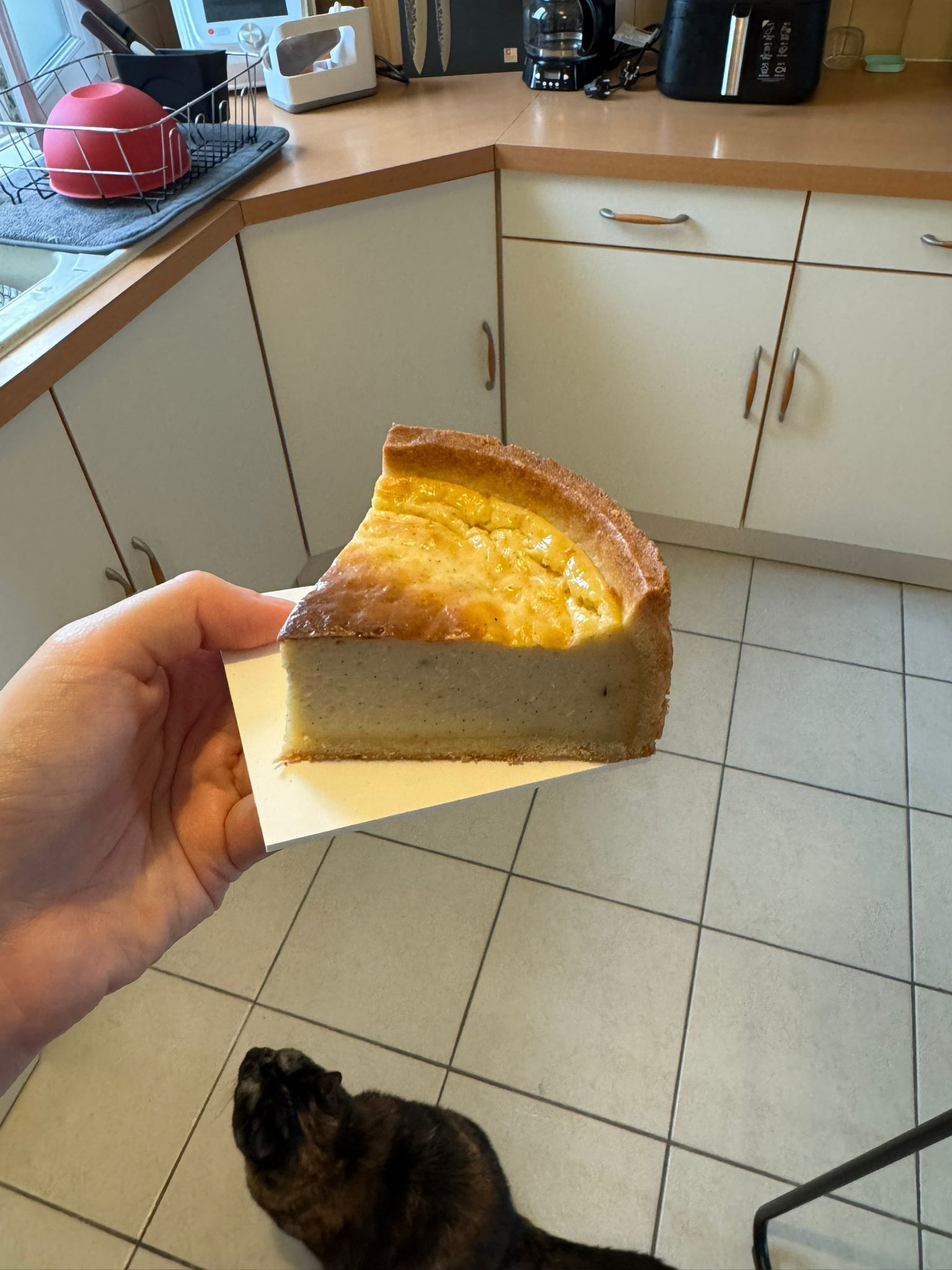 Flan pâtissier à la vanille