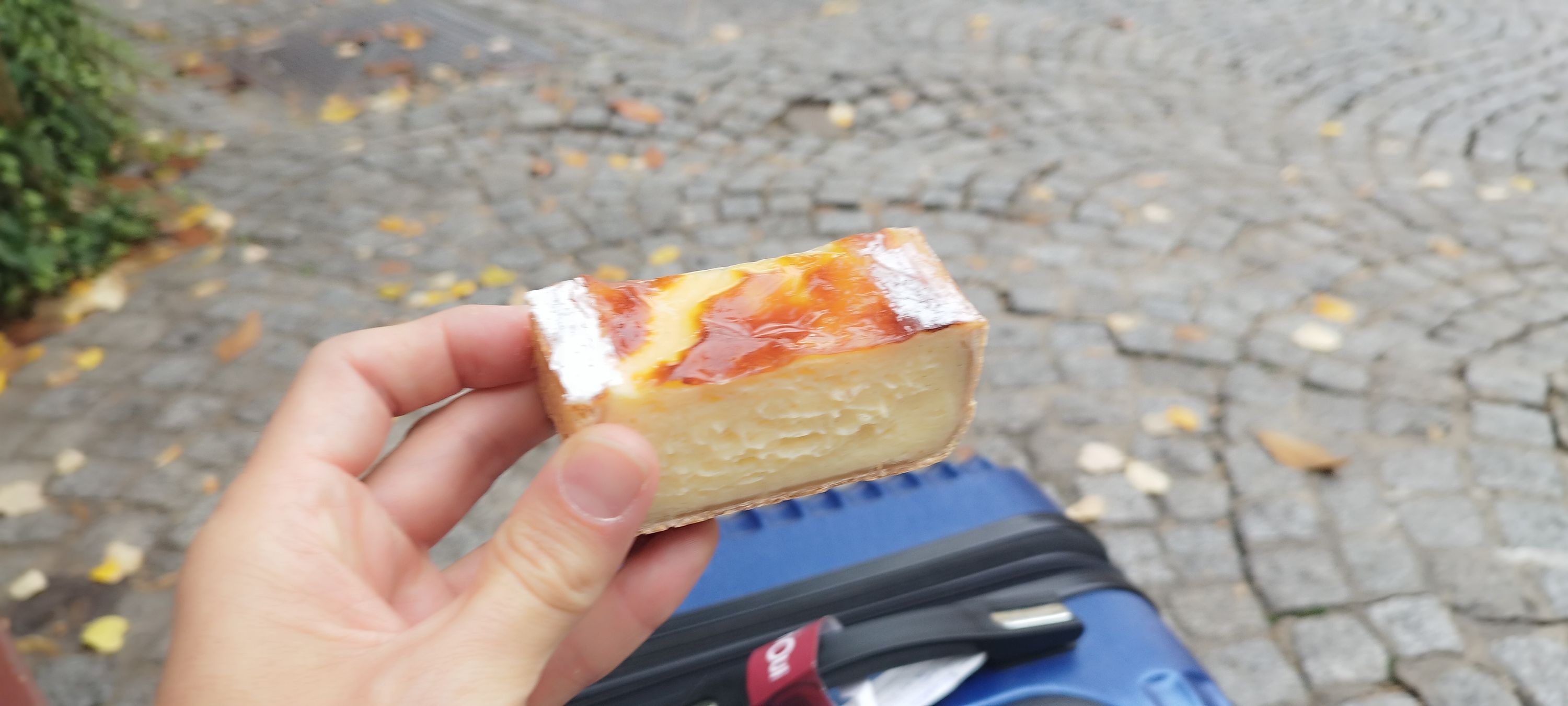 Flan vanille